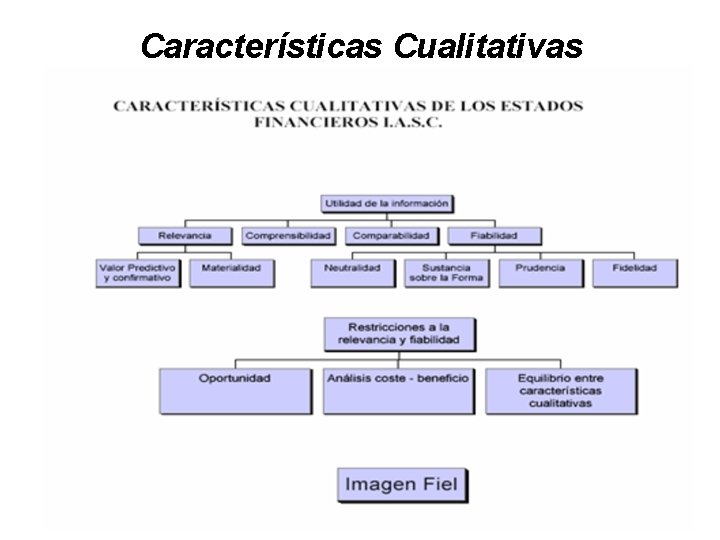 Características Cualitativas 