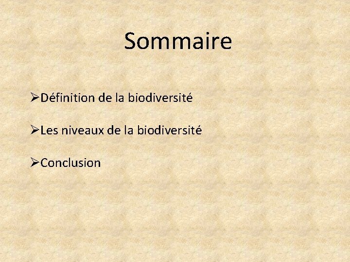 Sommaire ØDéfinition de la biodiversité ØLes niveaux de la biodiversité ØConclusion 