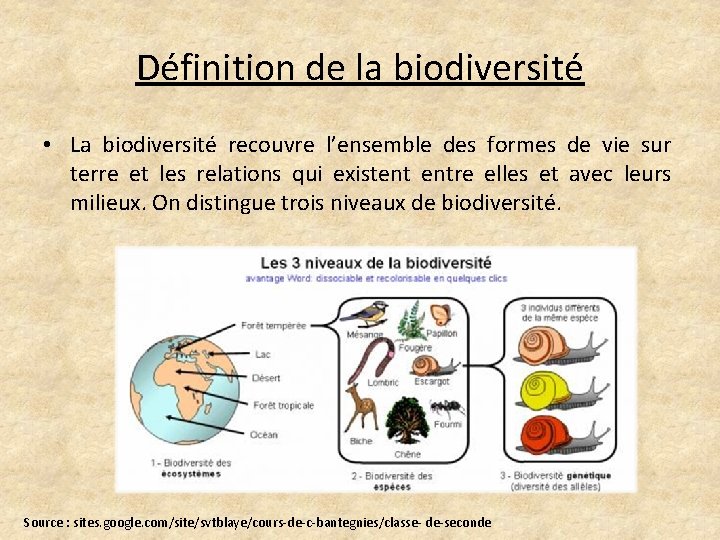 Définition de la biodiversité • La biodiversité recouvre l’ensemble des formes de vie sur