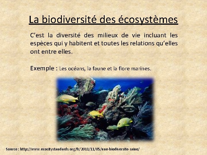 La biodiversité des écosystèmes C’est la diversité des milieux de vie incluant les espèces
