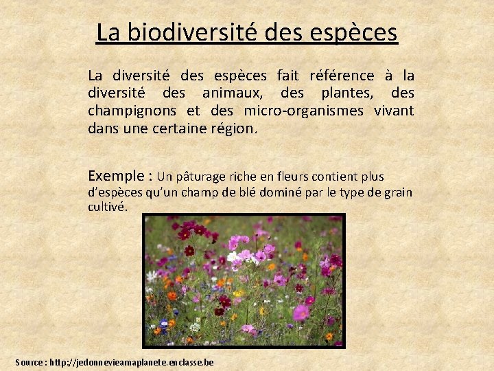 La biodiversité des espèces La diversité des espèces fait référence à la diversité des