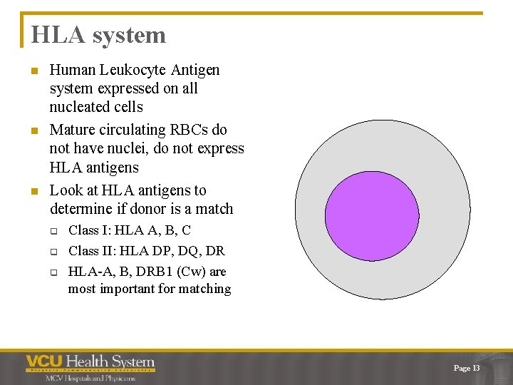 HLA system n n n Human Leukocyte Antigen system expressed on all nucleated cells