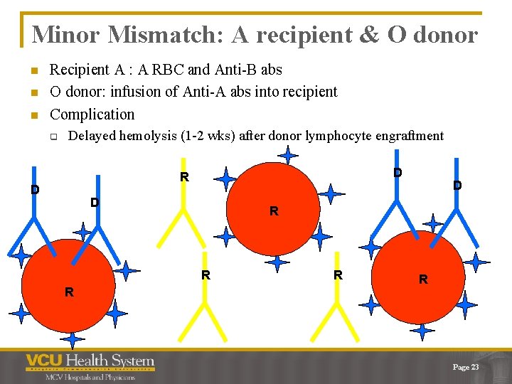 Minor Mismatch: A recipient & O donor n n n Recipient A : A