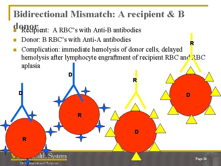 Bidirectional Mismatch: A recipient & B donor n Recipient: A RBC’s with Anti-B antibodies