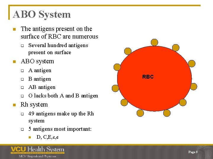ABO System n The antigens present on the surface of RBC are numerous q