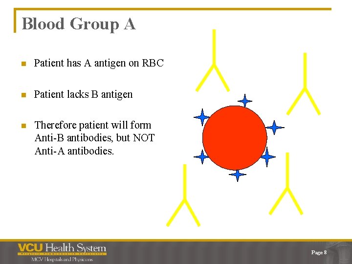 Blood Group A n Patient has A antigen on RBC n Patient lacks B