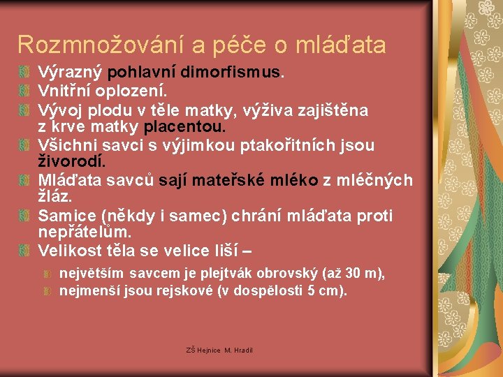 Rozmnožování a péče o mláďata Výrazný pohlavní dimorfismus. Vnitřní oplození. Vývoj plodu v těle