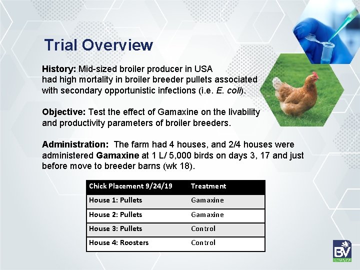 Trial Overview History: Mid-sized broiler producer in USA had high mortality in broiler breeder