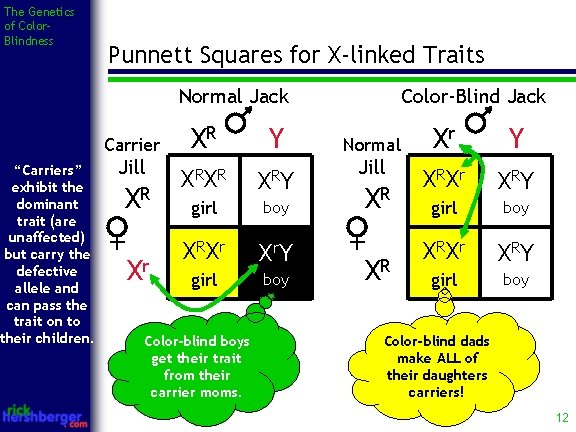 The Genetics of Color. Blindness Punnett Squares for X-linked Traits Normal Jack Carrier “Carriers”