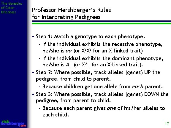 The Genetics of Color. Blindness Professor Hershberger’s Rules for Interpreting Pedigrees • Step 1: