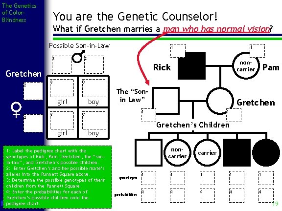 The Genetics of Color. Blindness You are the Genetic Counselor! What if Gretchen marries