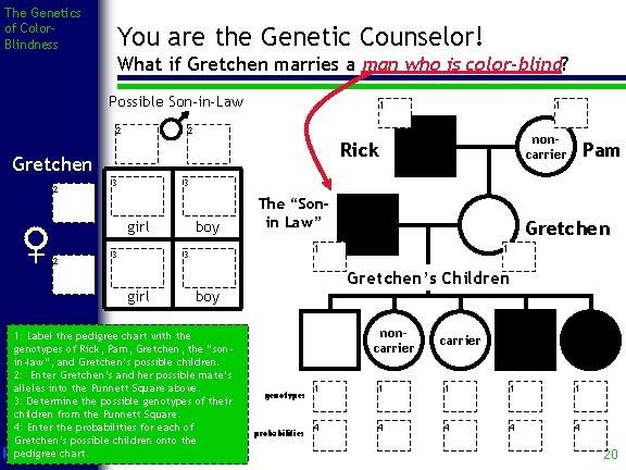 The Genetics of Color. Blindness You are the Genetic Counselor! What if Gretchen marries