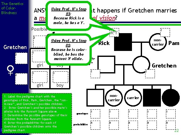 The Genetics of Color. Blindness Using Prof. H’s Step ANSWER: Here’s what happens if
