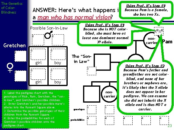 The Genetics of Color. Blindness Using Prof. H’s Step #1: Because Pam is a