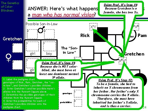 The Genetics of Color. Blindness Using Prof. H’s Step #1: Because Gretchen is a