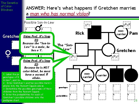 The Genetics of Color. Blindness ANSWER: Here’s what happens if Gretchen marries a man