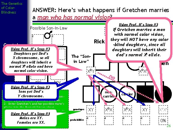 The Genetics of Color. Blindness ANSWER: Here’s what happens if Gretchen marries a man