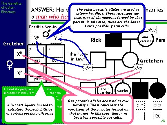 The Genetics of Color. Blindness The other parent’s alleles are used as marries ANSWER: