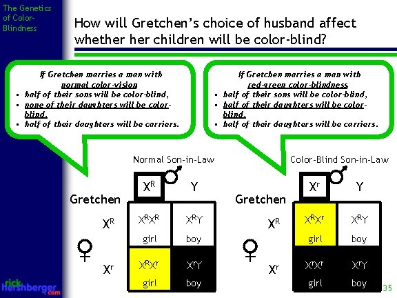 The Genetics of Color. Blindness How will Gretchen’s choice of husband affect whether children