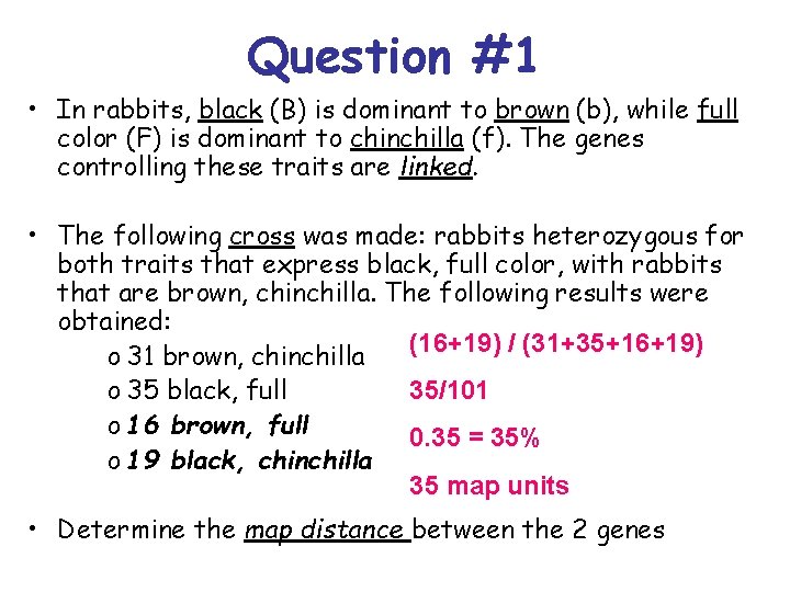 Question #1 • In rabbits, black (B) is dominant to brown (b), while full