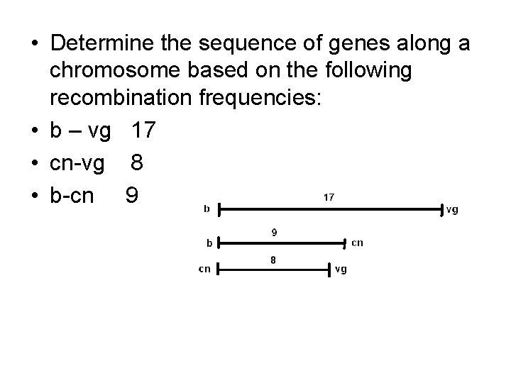  • Determine the sequence of genes along a chromosome based on the following