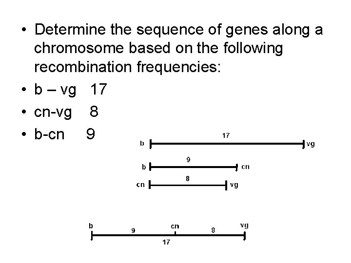  • Determine the sequence of genes along a chromosome based on the following