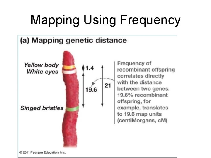Mapping Using Frequency 