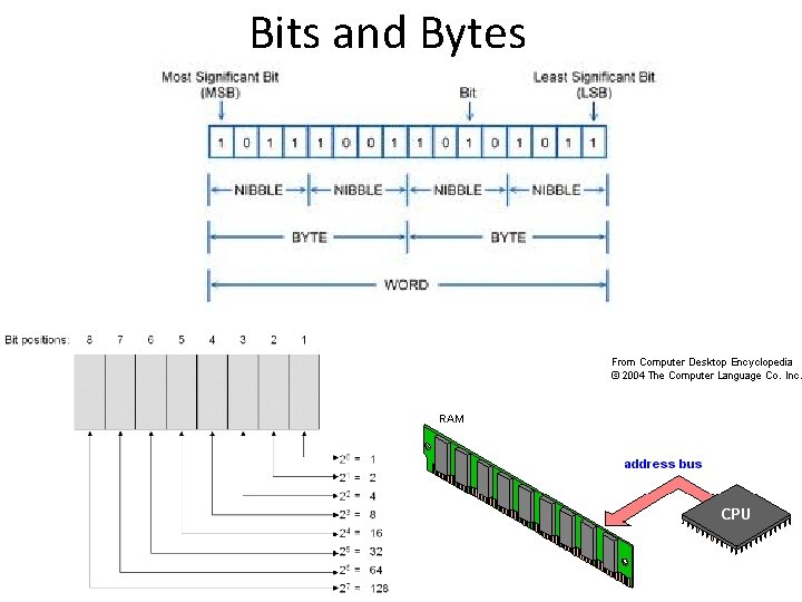 Bits and Bytes 