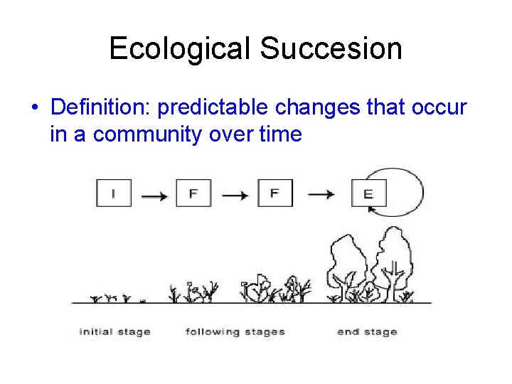 Ecological Succesion • Definition: predictable changes that occur in a community over time 