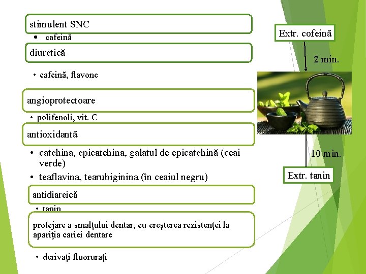 stimulent SNC • cafeină diuretică Extr. cofeină 2 min. • cafeină, flavone angioprotectoare •