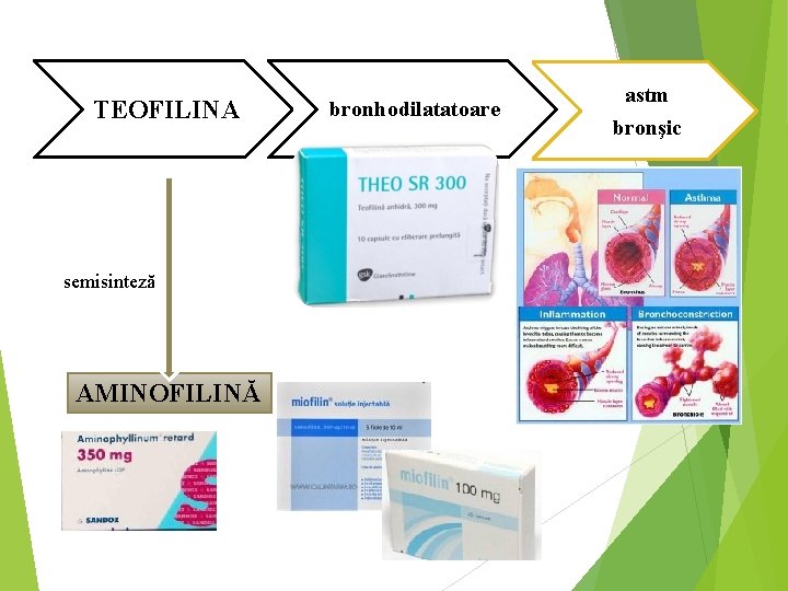 TEOFILINA semisinteză AMINOFILINĂ bronhodilatatoare astm bronşic 