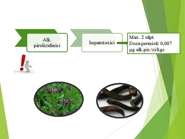 Alk. pirolizidinici hepatotoxici Max. 2 săpt. Doza permisă: 0, 007 µg alk. pir. /zi/kgc