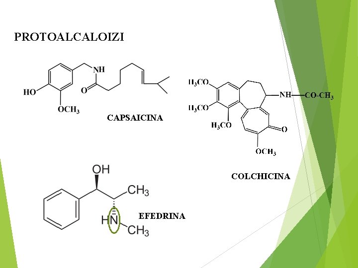 PROTOALCALOIZI CAPSAICINA COLCHICINA EFEDRINA 