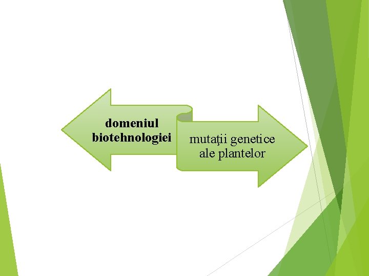 domeniul biotehnologiei mutaţii genetice ale plantelor 