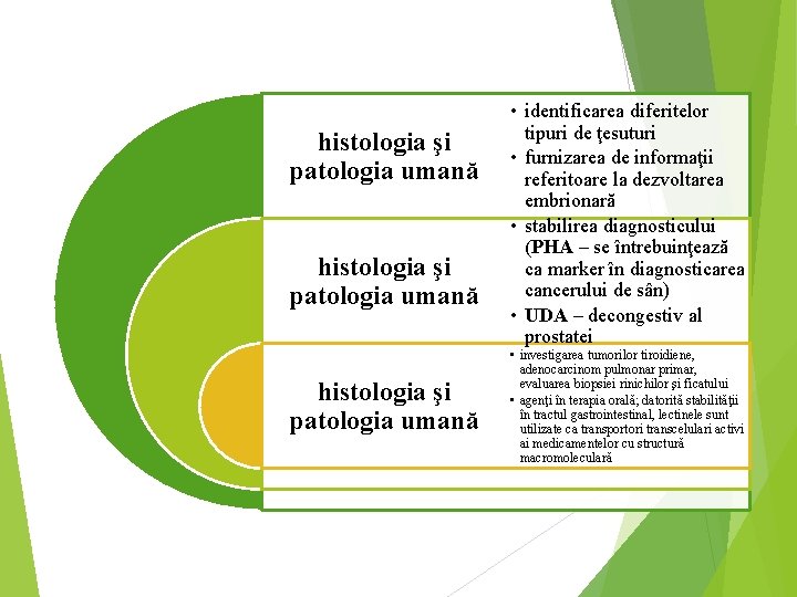 histologia şi patologia umană • identificarea diferitelor tipuri de ţesuturi • furnizarea de informaţii