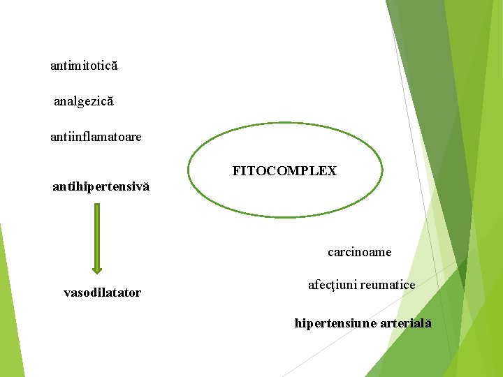antimitotică analgezică antiinflamatoare FITOCOMPLEX antihipertensivă carcinoame vasodilatator afecţiuni reumatice hipertensiune arterială 