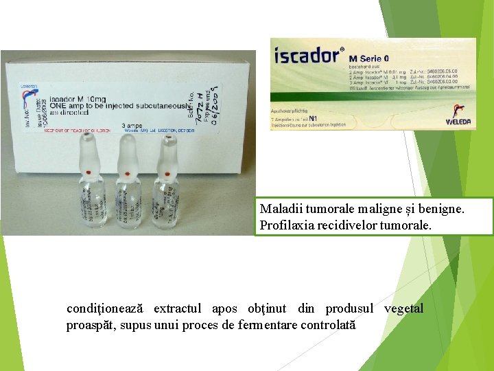 Maladii tumorale maligne și benigne. Profilaxia recidivelor tumorale. condiţionează extractul apos obţinut din produsul