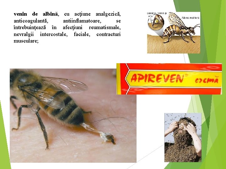 venin de albină, cu acţiune analgezică, anticoagulantă, antiinflamatoare, se întrebuinţează în afecţiuni reumatismale, nevralgii