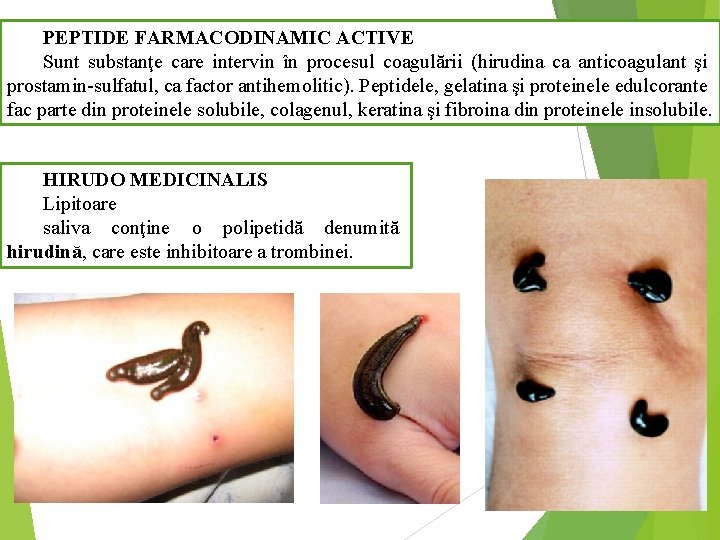 PEPTIDE FARMACODINAMIC ACTIVE Sunt substanţe care intervin în procesul coagulării (hirudina ca anticoagulant şi