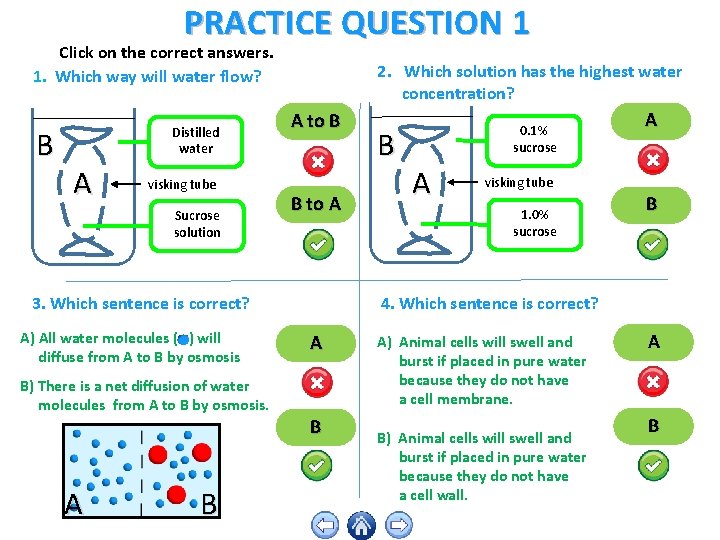PRACTICE QUESTION 1 Click on the correct answers. 1. Which way will water flow?