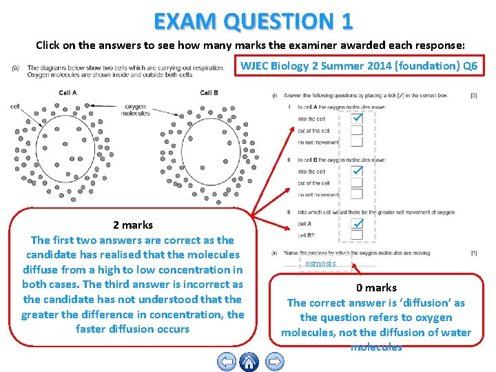 EXAM QUESTION 1 Click on the answers to see how many marks the examiner