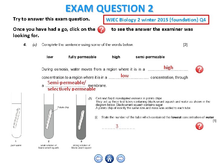 EXAM QUESTION 2 Try to answer this exam question. Once you have had a