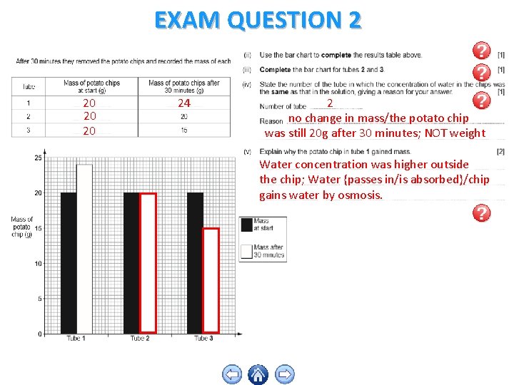 EXAM QUESTION 2 20 20 20 24 2 no change in mass/the potato chip