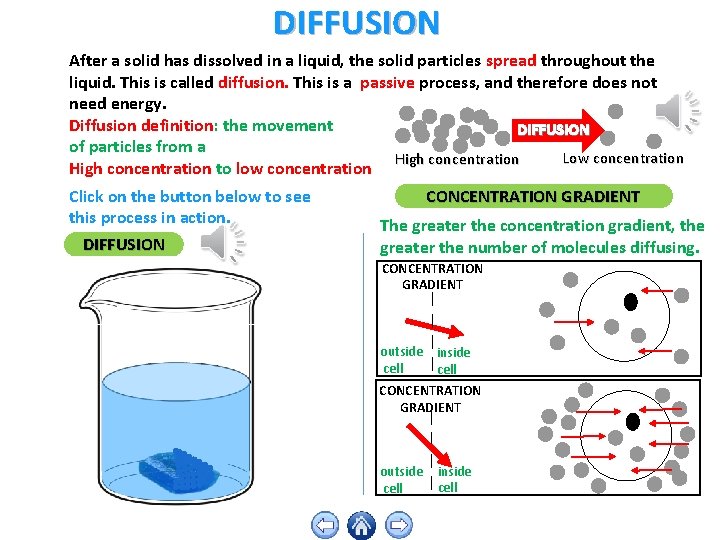 DIFFUSION After a solid has dissolved in a liquid, the solid particles spread throughout