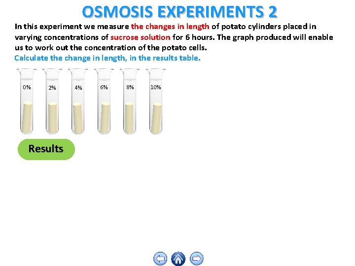 OSMOSIS EXPERIMENTS 2 In this experiment we measure the changes in length of potato