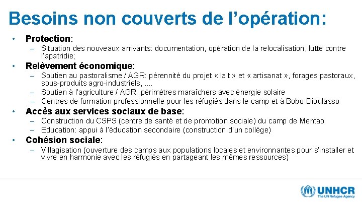 Besoins non couverts de l’opération: • Protection: – Situation des nouveaux arrivants: documentation, opération