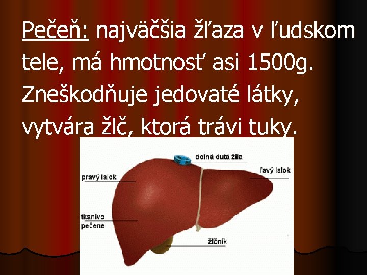 Pečeň: najväčšia žľaza v ľudskom tele, má hmotnosť asi 1500 g. Zneškodňuje jedovaté látky,