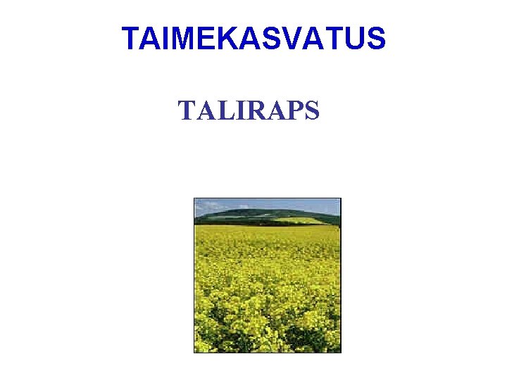 TAIMEKASVATUS TALIRAPS 