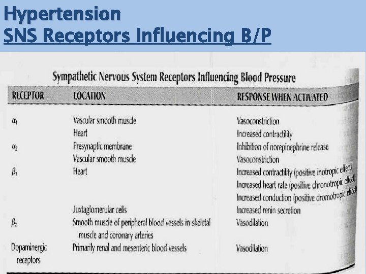 Hypertension SNS Receptors Influencing B/P 