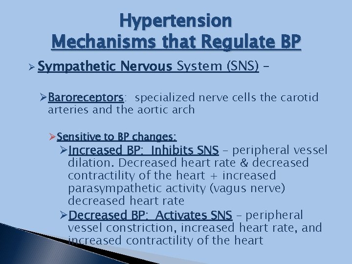 Hypertension Mechanisms that Regulate BP Ø Sympathetic Nervous System (SNS) – ØBaroreceptors: specialized nerve